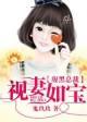 腹黑总裁视妻如宝