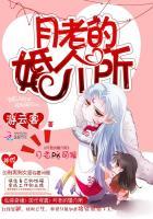 月老屋婚恋网收费怎样