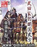 武田家的明国武士笔趣阁