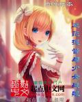 战舰少女r提督等级经验表