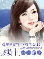 赖上前妻 清和
