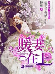 暖妻在上唐婉凉