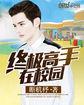 终极高手校对版全本