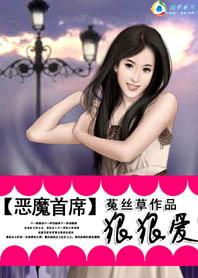 双面妖姬电视剧