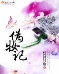 伪妆记顶点