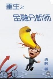 重生之金融分析师 清枫