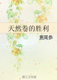 天然卷的胜利TXT 焦尾参