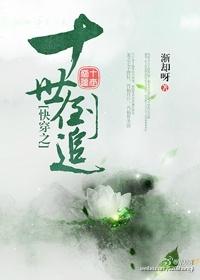 快穿之十世倒追免费