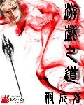 游戏设计之道