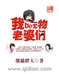 我的尤物老婆们上官