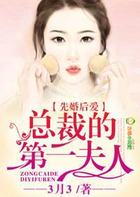 先婚后爱盛宠第一夫人免费