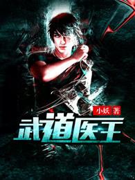 武道医王txt免费