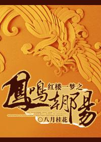 红楼一梦之凤鸣朝阳txt