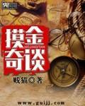 摸金连续剧