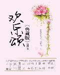 欢乐颂5免费观看全集电视剧完整版