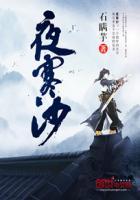 夜寒沙维尔兽世