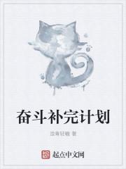 奋斗目标和计划