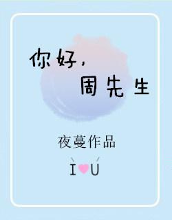 周先生txt资源