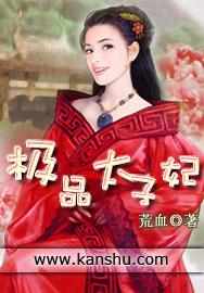 极品太子妃圆不破简介