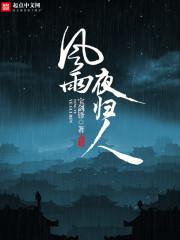 沪剧风雨夜归人