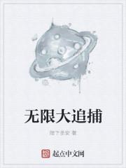无限大追捕起点