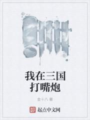 我在三国打天下