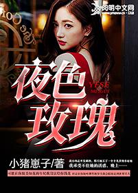 玫瑰色的夜晚