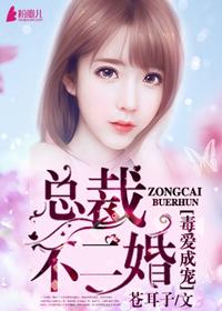 二婚成宠总裁缠爱不休
