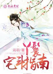 讲丫鬟的宅斗