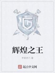辉煌岁月王