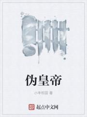 伪皇帝金国元帅