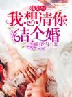 韩先生我想请你结个婚男主叫什么