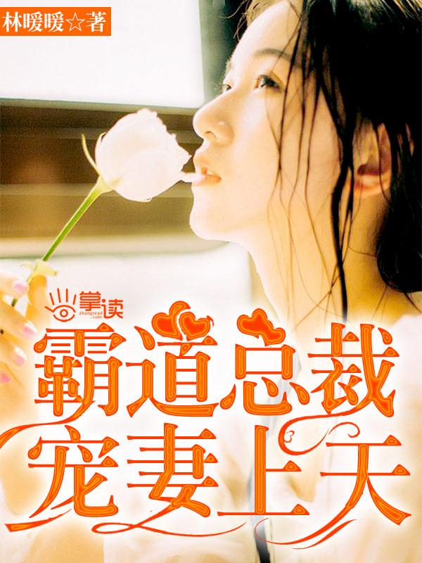 霸道总裁宠妻上天全文阅读