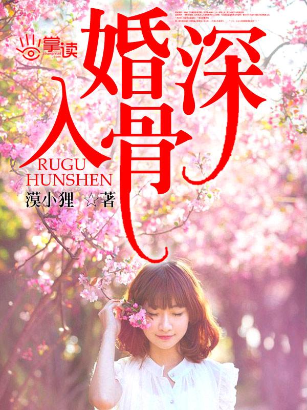 总裁先生