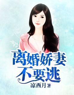 离婚娇妻不要逃免费阅读全文