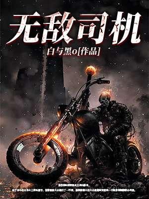 无敌司机txt全集