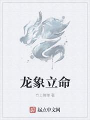 以龙立向表