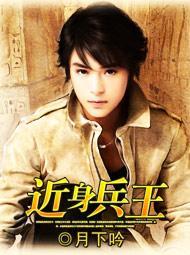 近身兵王全集