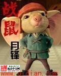 战鼠鼠