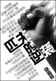 匹夫的逆袭有续集吗