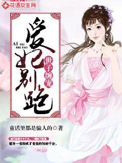 世子妃宠文