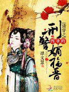 清穿之四爷的妾