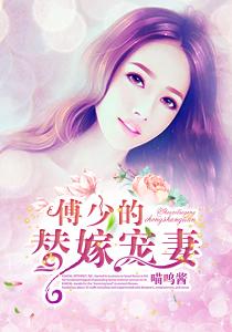 傅少的冷清宠妻