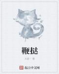 鞭挞假丑恶
