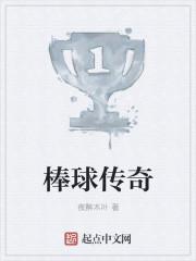 棒球传奇泽村荣纯