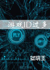 综游戏ID过多