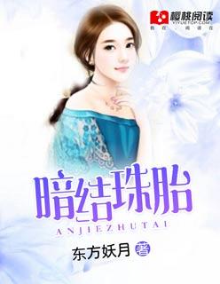 暗结珠胎txt
