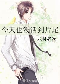 今天我也没有
