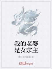 我的老婆是女主全文阅读