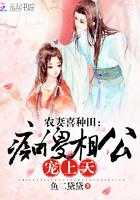 农家悍媳痴傻夫君宠上天
